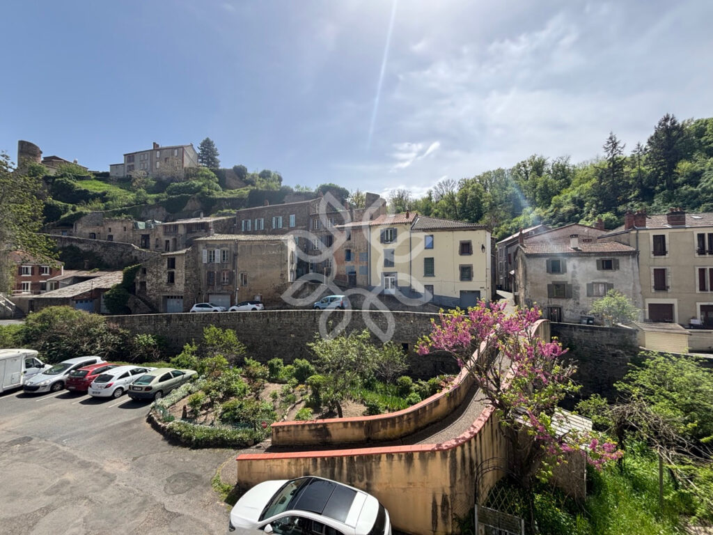 Grande maison de village 168 m2 + annexes   Idéal famille ou